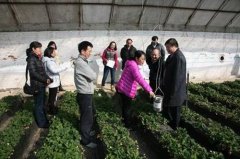 农业部种植业司领导到北京市调研