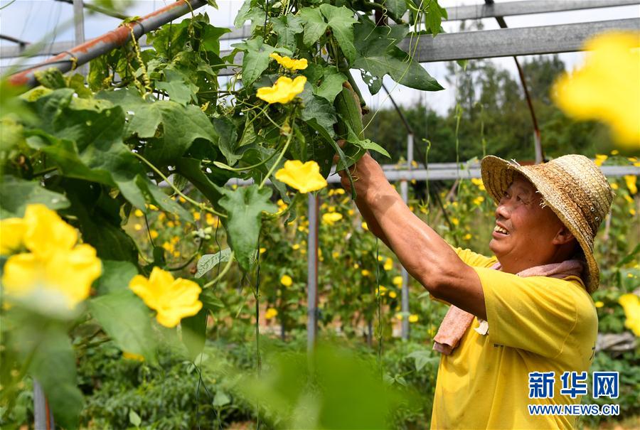 （社会）（3）电商进村助扶贫 农民增收奔小康