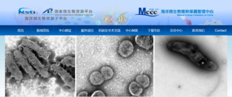 中国海洋微生物菌种保藏管理中心取得ISO9001认证